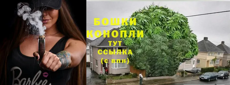 купить   Добрянка  Бошки марихуана OG Kush 